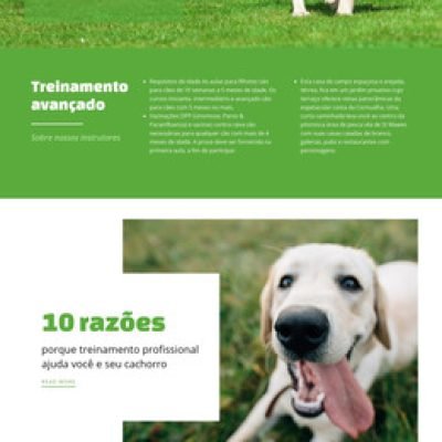 modelo-html-63552